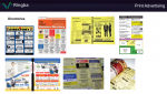 Directories Ad Examples - Print Advertising - Ringba's Pay Per Call Masterclass.png